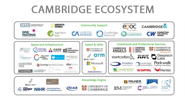 cambridge ecosystem